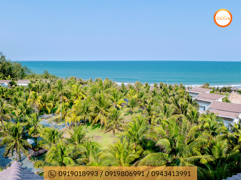 Resort được bao quanh bởi hàng dừa xanh mát - Du lịch 360Go 